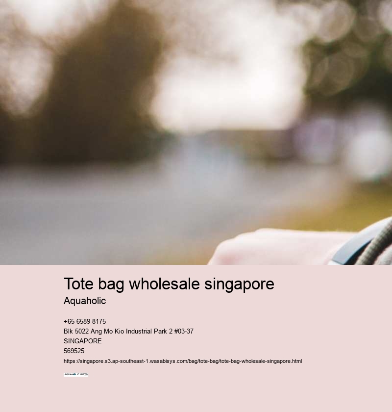 tote bag wholesale singapore